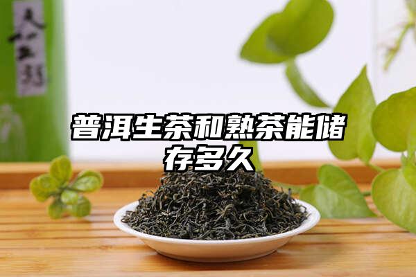 普洱生茶和熟茶能储存多久