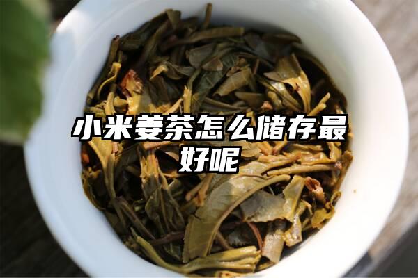 小米姜茶怎么储存最好呢