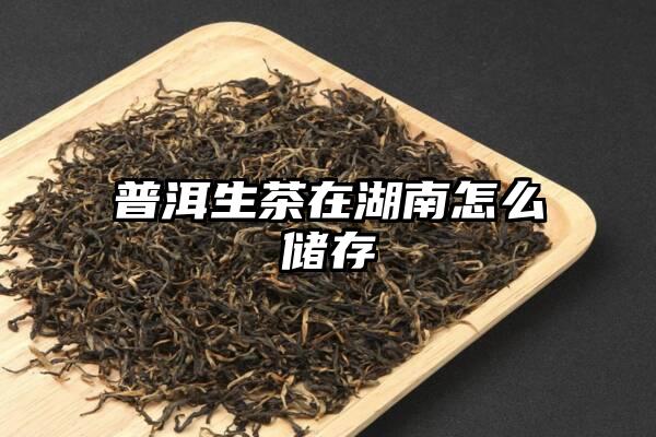 普洱生茶在湖南怎么储存