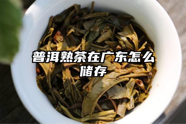 普洱熟茶在广东怎么储存