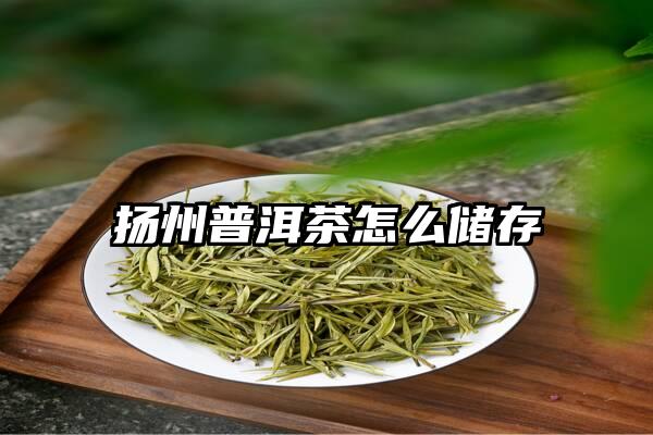 扬州普洱茶怎么储存
