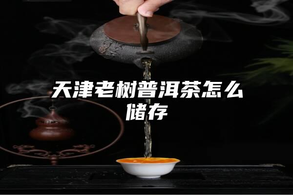 天津老树普洱茶怎么储存