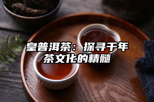 皇普洱茶：探寻千年茶文化的精髓