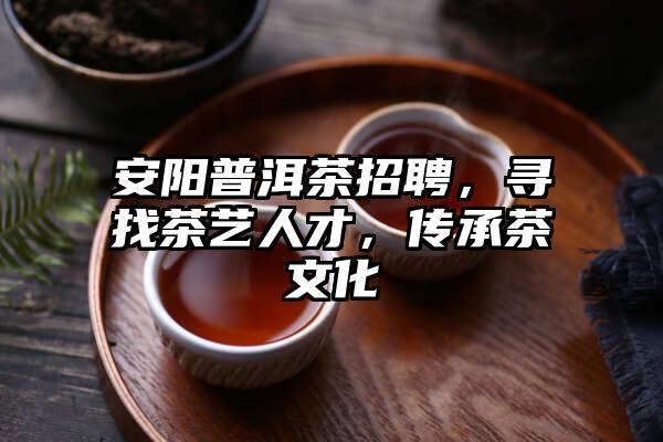 安阳普洱茶招聘，寻找茶艺人才，传承茶文化