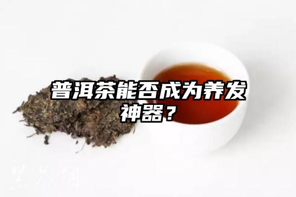 普洱茶能否成为养发神器？