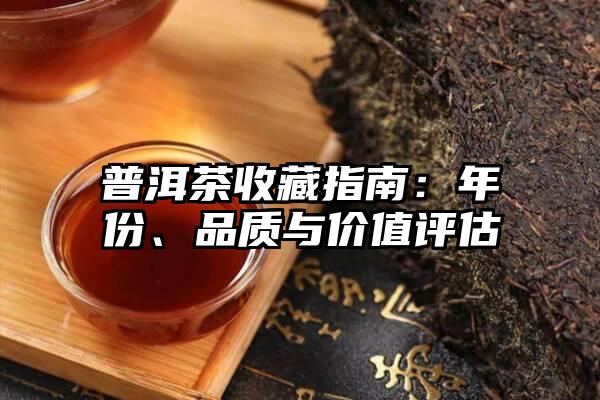 普洱茶收藏指南：年份、品质与价值评估