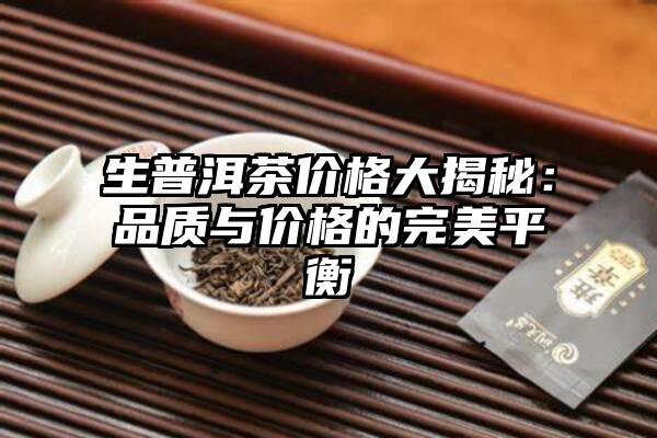 生普洱茶价格大揭秘：品质与价格的完美平衡