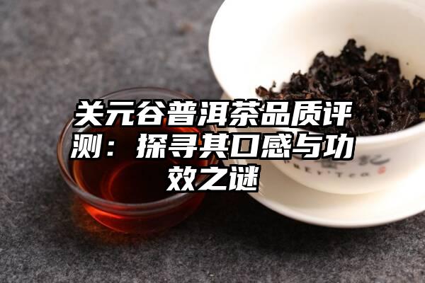 关元谷普洱茶品质评测：探寻其口感与功效之谜