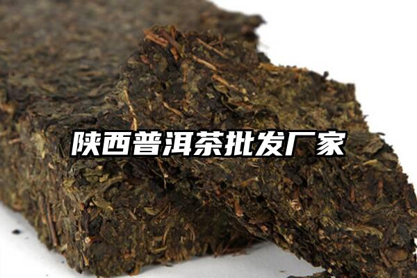 陕西普洱茶批发厂家