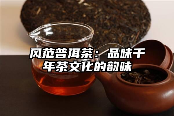 风范普洱茶：品味千年茶文化的韵味
