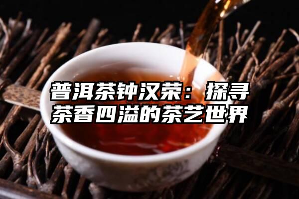 普洱茶钟汉荣：探寻茶香四溢的茶艺世界