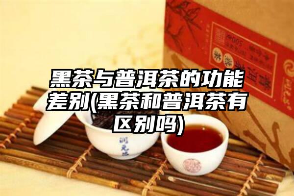 黑茶与普洱茶的功能差别(黑茶和普洱茶有区别吗)
