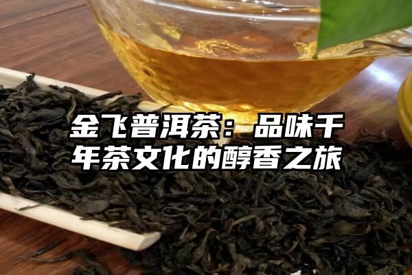 金飞普洱茶：品味千年茶文化的醇香之旅