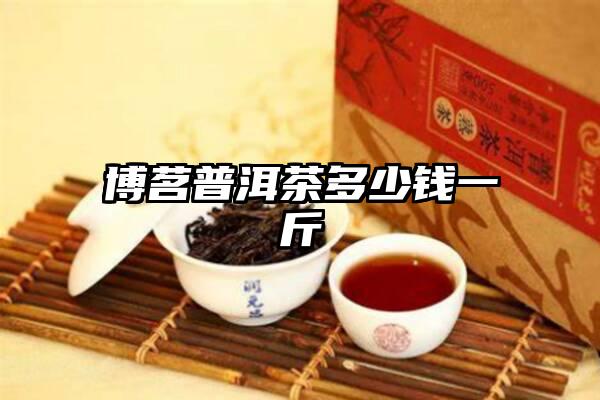 博茗普洱茶多少钱一斤