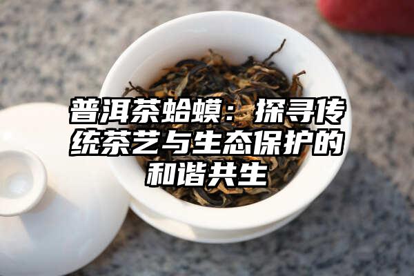 普洱茶蛤蟆：探寻传统茶艺与生态保护的和谐共生