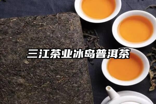 三江茶业冰岛普洱茶
