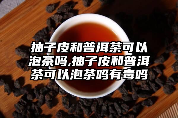 抽子皮和普洱茶可以泡茶吗,抽子皮和普洱茶可以泡茶吗有毒吗