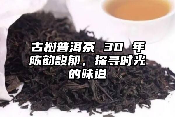 古树普洱茶 30 年陈韵馥郁，探寻时光的味道