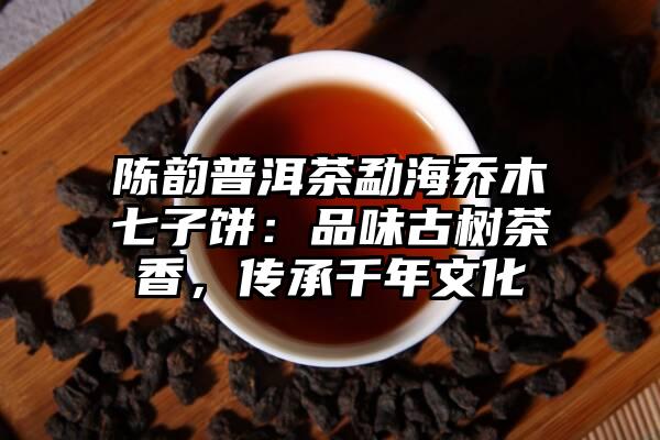 陈韵普洱茶勐海乔木七子饼：品味古树茶香，传承千年文化
