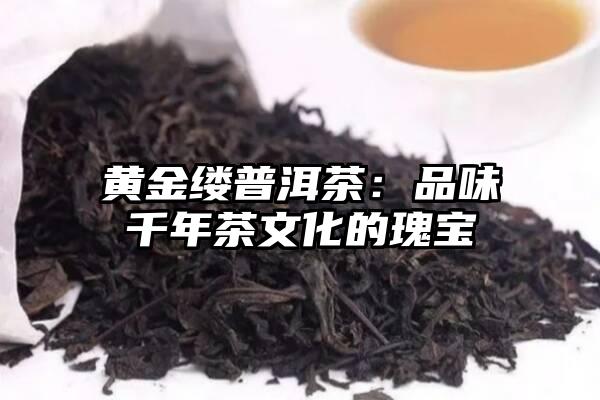 黄金缕普洱茶：品味千年茶文化的瑰宝