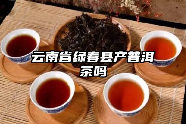 云南省绿春县产普洱茶吗
