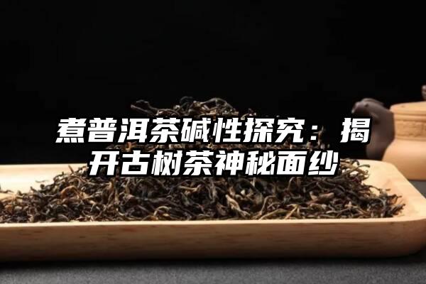 煮普洱茶碱性探究：揭开古树茶神秘面纱