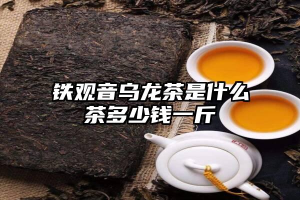 铁观音乌龙茶是什么茶多少钱一斤