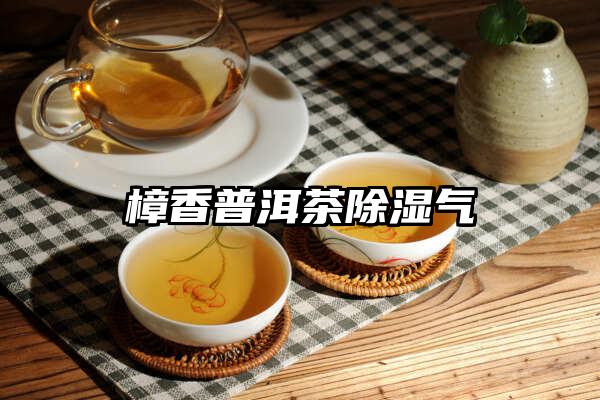 樟香普洱茶除湿气