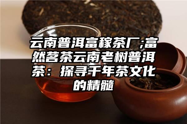 云南普洱富稼茶厂;富然茗茶云南老树普洱茶：探寻千年茶文化的精髓