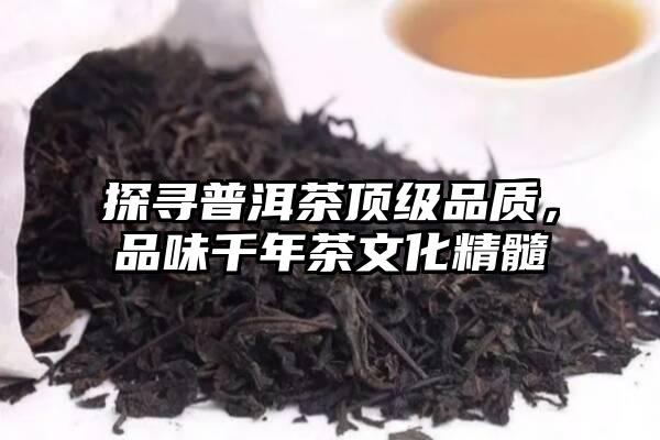 探寻普洱茶顶级品质，品味千年茶文化精髓