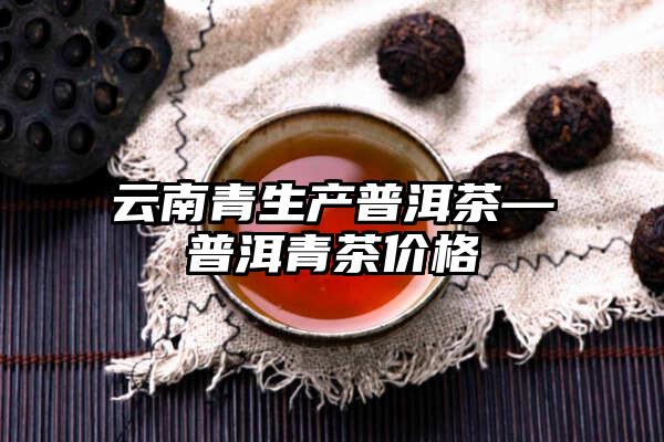 云南青生产普洱茶—普洱青茶价格