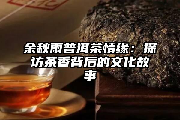 余秋雨普洱茶情缘：探访茶香背后的文化故事